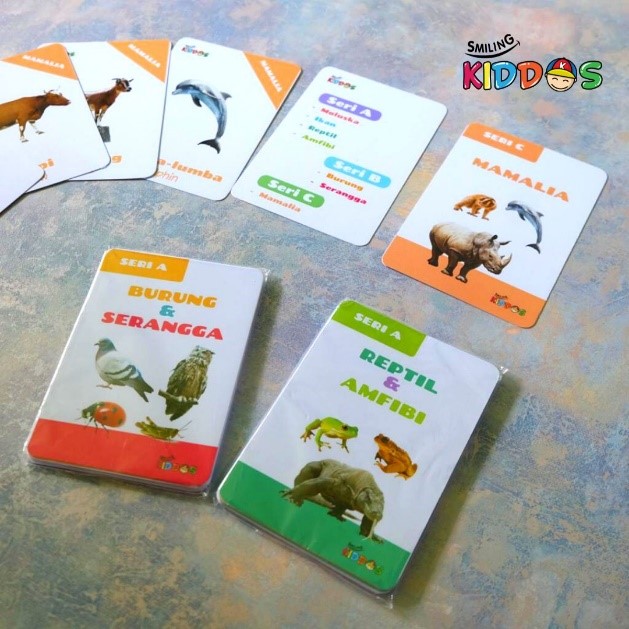 SERI FLASH CARD