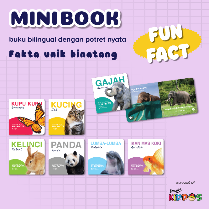 SERI MINI BOOK FUN FACT